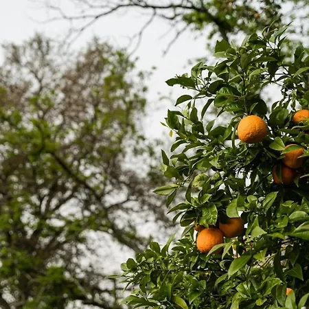 Guestready - Quinta Do Sol 펜션 *