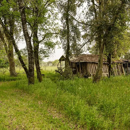 Guestready - Quinta Do Sol 펜션 밀하다