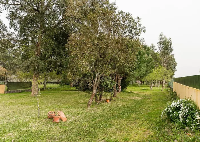 Guestready - Quinta Do Sol Mealhada