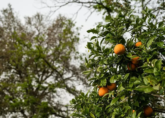 Guestready - Quinta Do Sol Vakantiehuis *