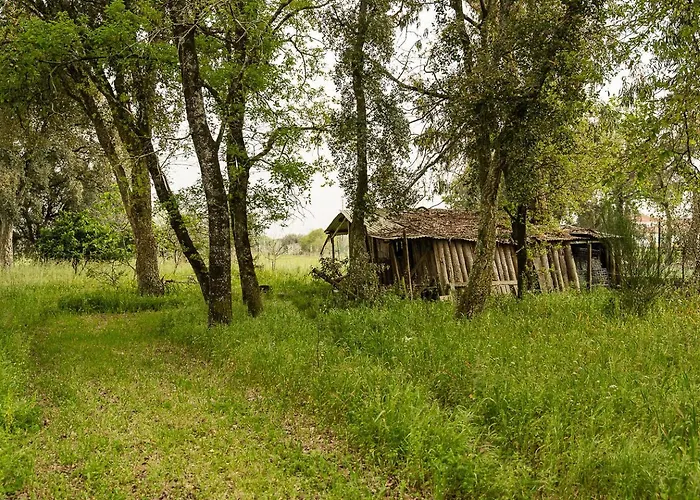 Guestready - Quinta Do Sol Vakantiehuis Mealhada